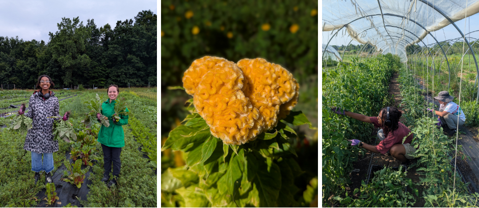 Sustainable Ag Photo Banner.png
